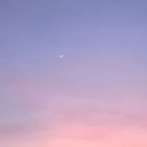 Meet your Posher, Sophia